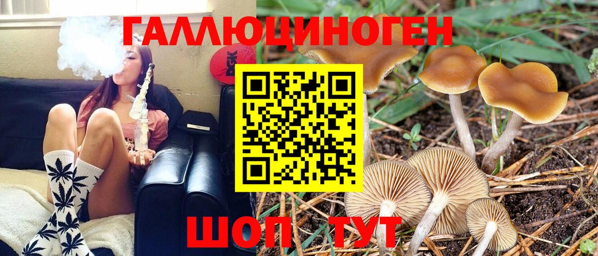 Псилоцибиновые грибы Psilocybine cubensis  Галлюциногенные грибы GOLDEN TEACHER  Куйбышев  Вход с VPN 