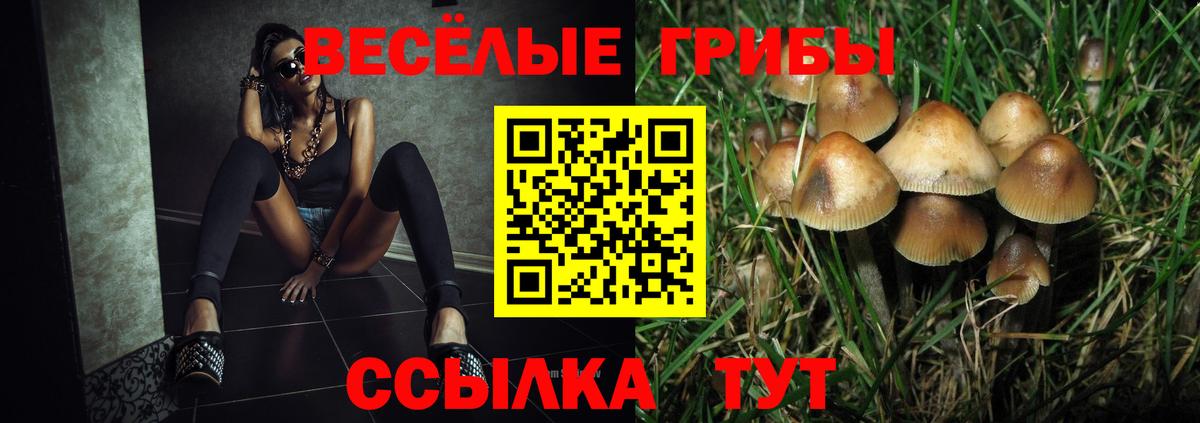 Галлюциногенные грибы Magic Shrooms Куйбышев